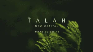 كمبوند تالا العاصمة الادارية