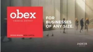 مول اوبيكس بيزنس هب