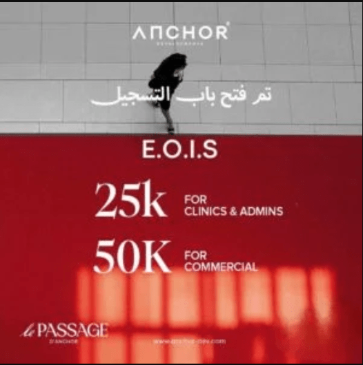 مول لي باساج العاصمة الإدارية